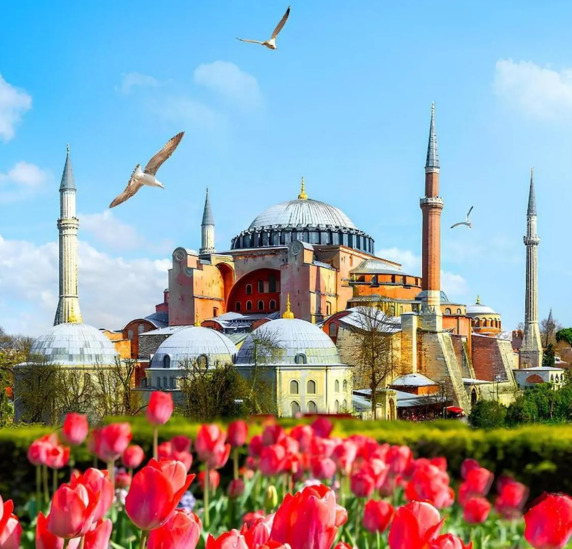 Myra Sea Sultanahmet Aparthotel Istanbul 0*,  Turkey